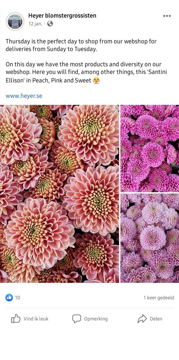 Heyer Facebook